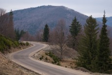 Picture of a climbing road with curves crossing a forest