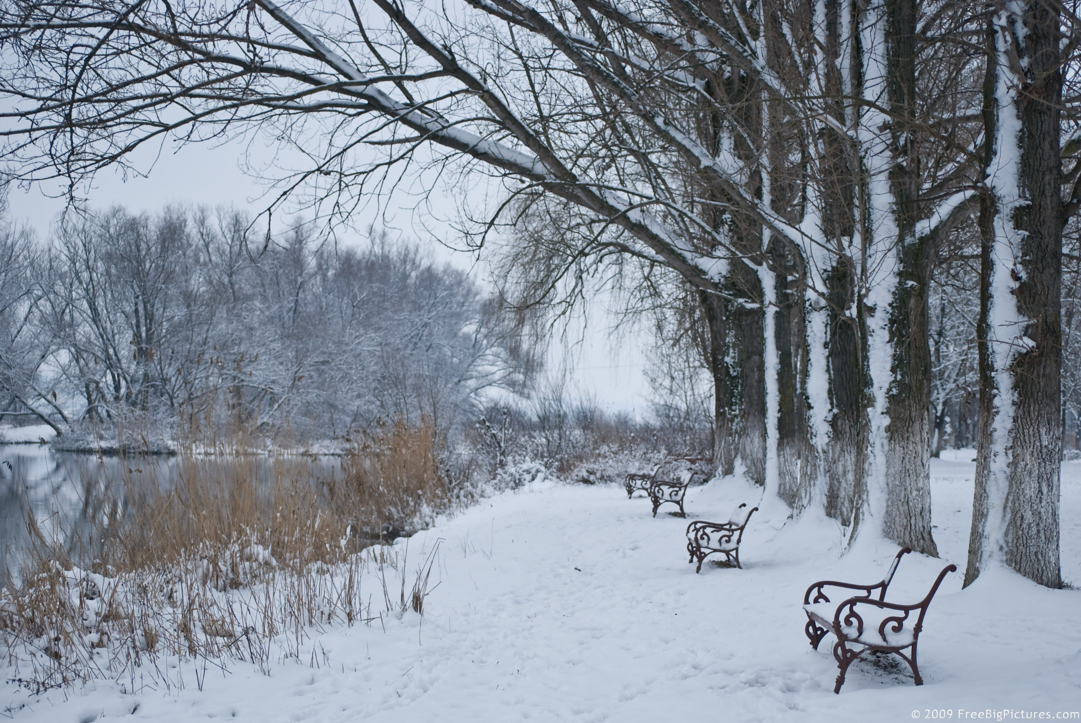 Pics Photos - View Large Winter Scene With Snow Wallpaper Resolution