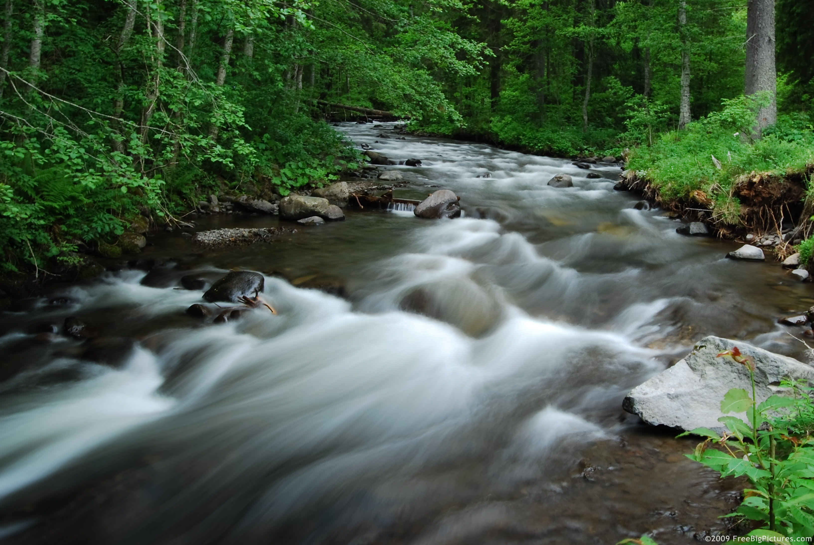 Forest River – FREEBigPictures.com 2019 Forest River No Boundaries 19.7