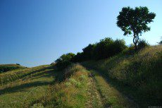 Image of Old Climbing Route