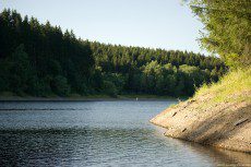 Dried shore of a lake of in summer