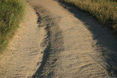 A dusty village path, for carts