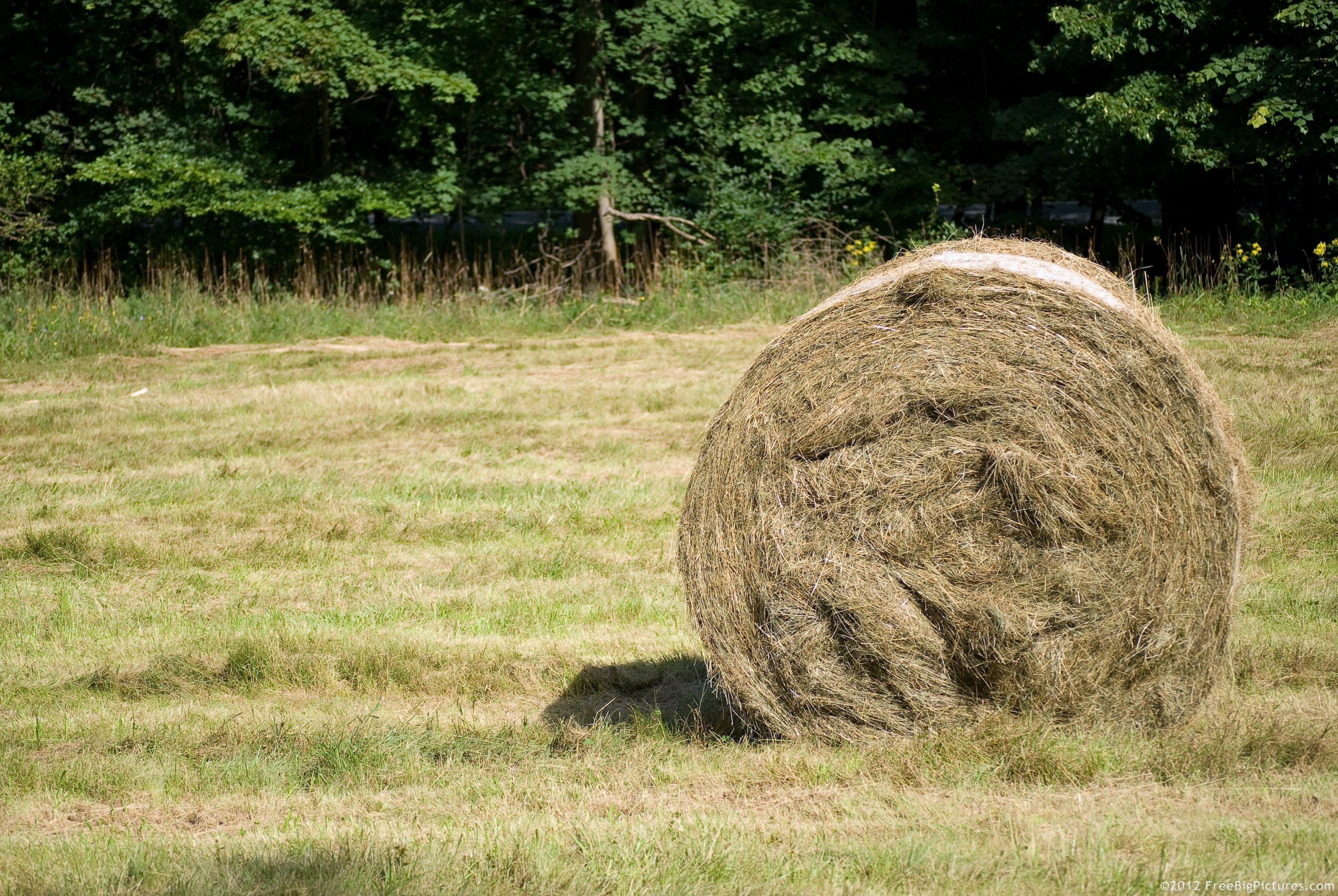 A Hay Roll waiting to be transported