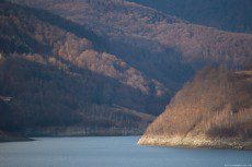 Deciduous vegetation at the shore of a sunlight bathed lake