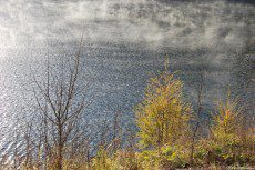 A morning on the Colibita lake with the water's surface in the mist