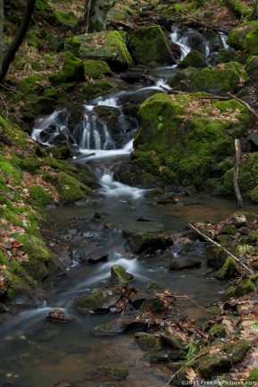 A mossy flow, that creeps among the rocks, in a deciduous forest in a winter warm day. Using a long exposure time, the moving flow appears blurry and rest of the image remains clear.