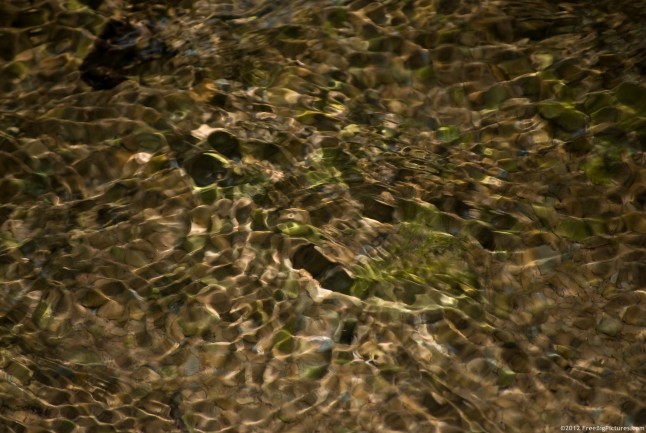 An underwater riverbed through a layer of clear water