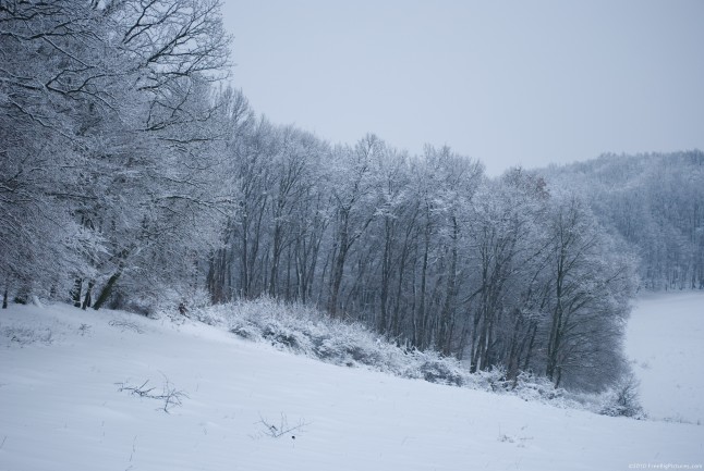 Landscape covered by a snow blanket in the winter