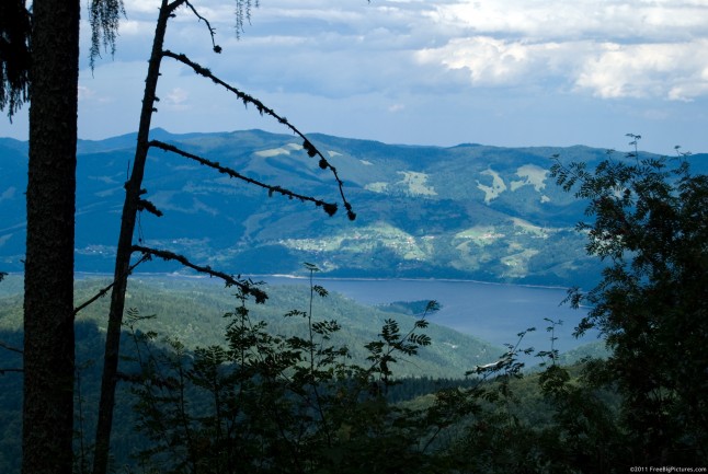 Bicaz Lake viewed from the woods